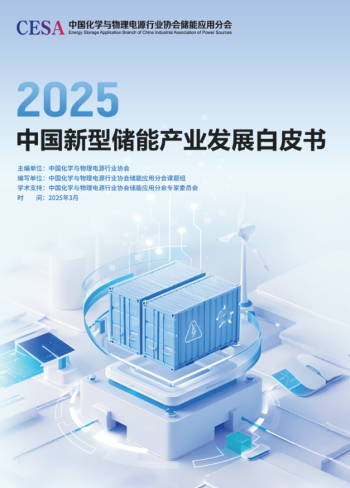 《2025中国新型储能产业发展白皮书》