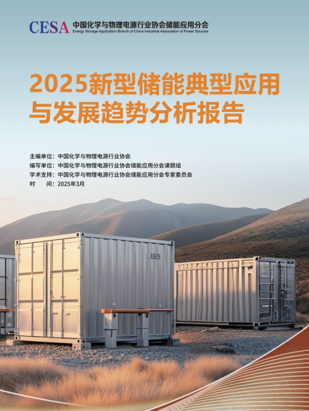 《2025新型储能典型应用与发展趋势分析报告》